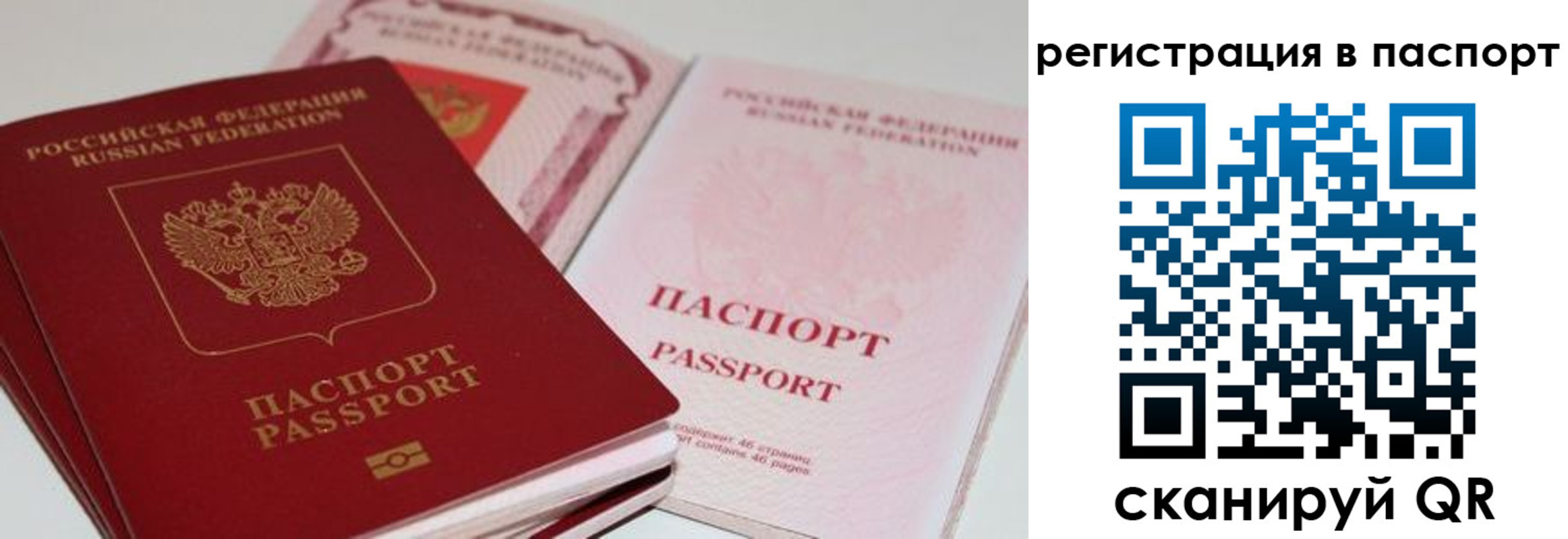 временная регистрация недорого в Мытищах